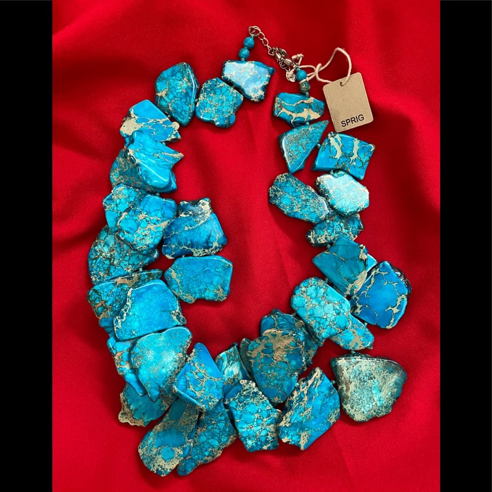 New with tags Necklace